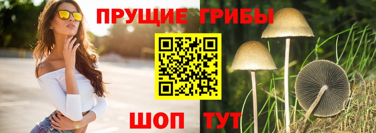 Галлюциногенные грибы мицелий Новошахтинск