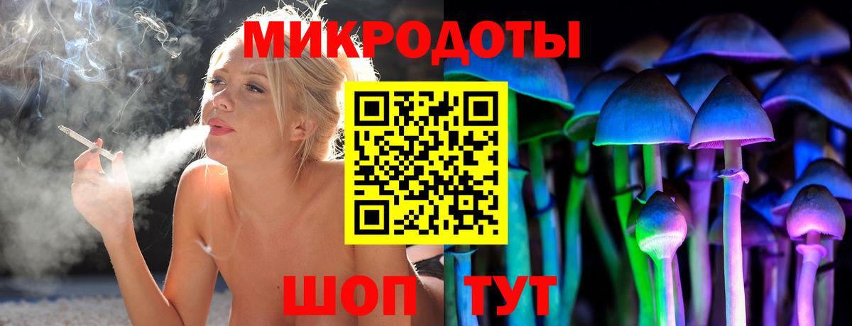 Псилоцибиновые грибы ЛСД  закладка  Новошахтинск  Вход с VPN 